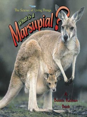 cover image of What is a Marsupial?